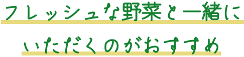 フレッシュな野菜と一緒にいただくのがおすすめ