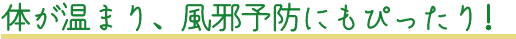 体が温まり、風邪予防にもぴったり!