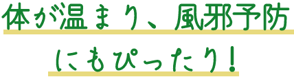 体が温まり、風邪予防にもぴったり!